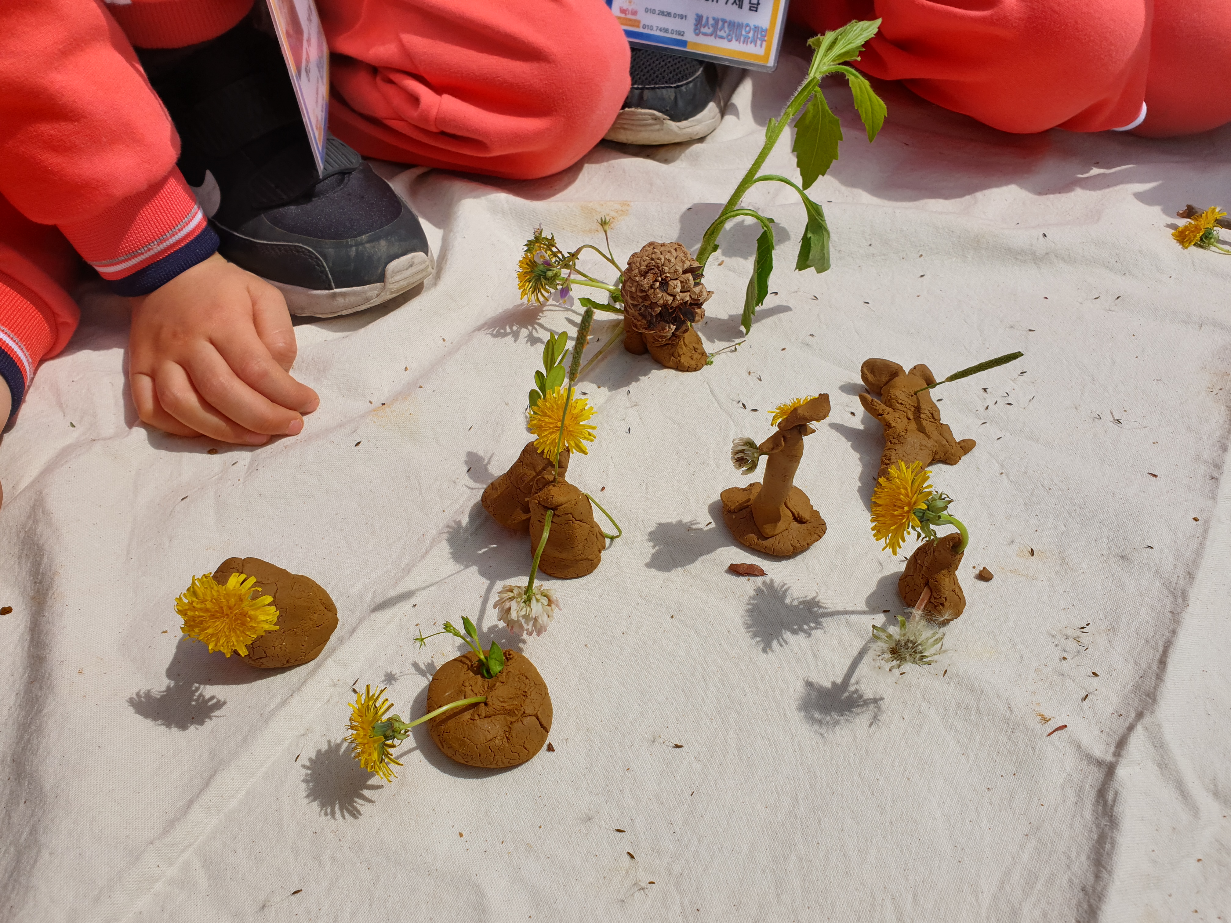 20190430_105109.jpg