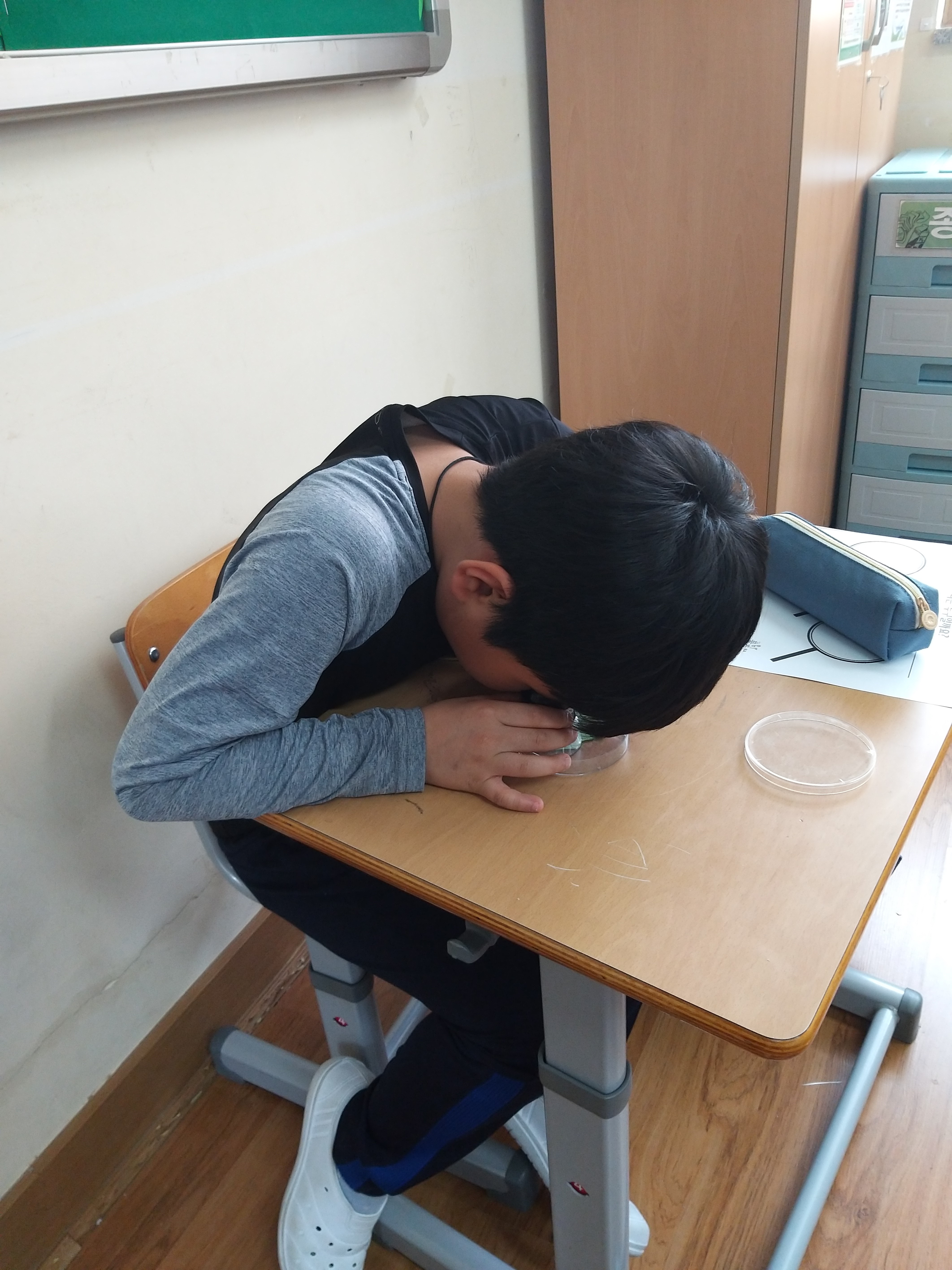 20190515_112532.jpg