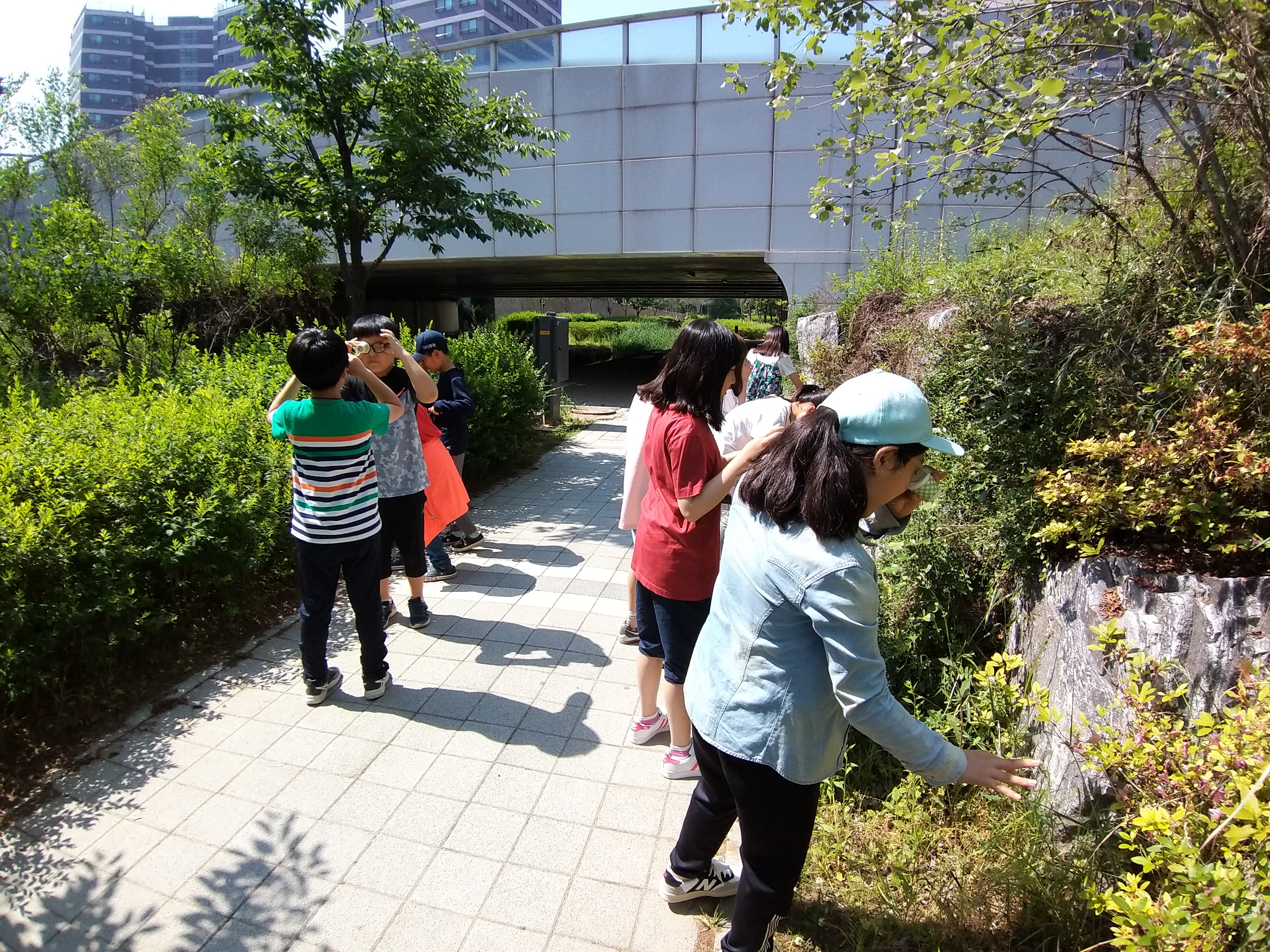 20190522_101239.jpg