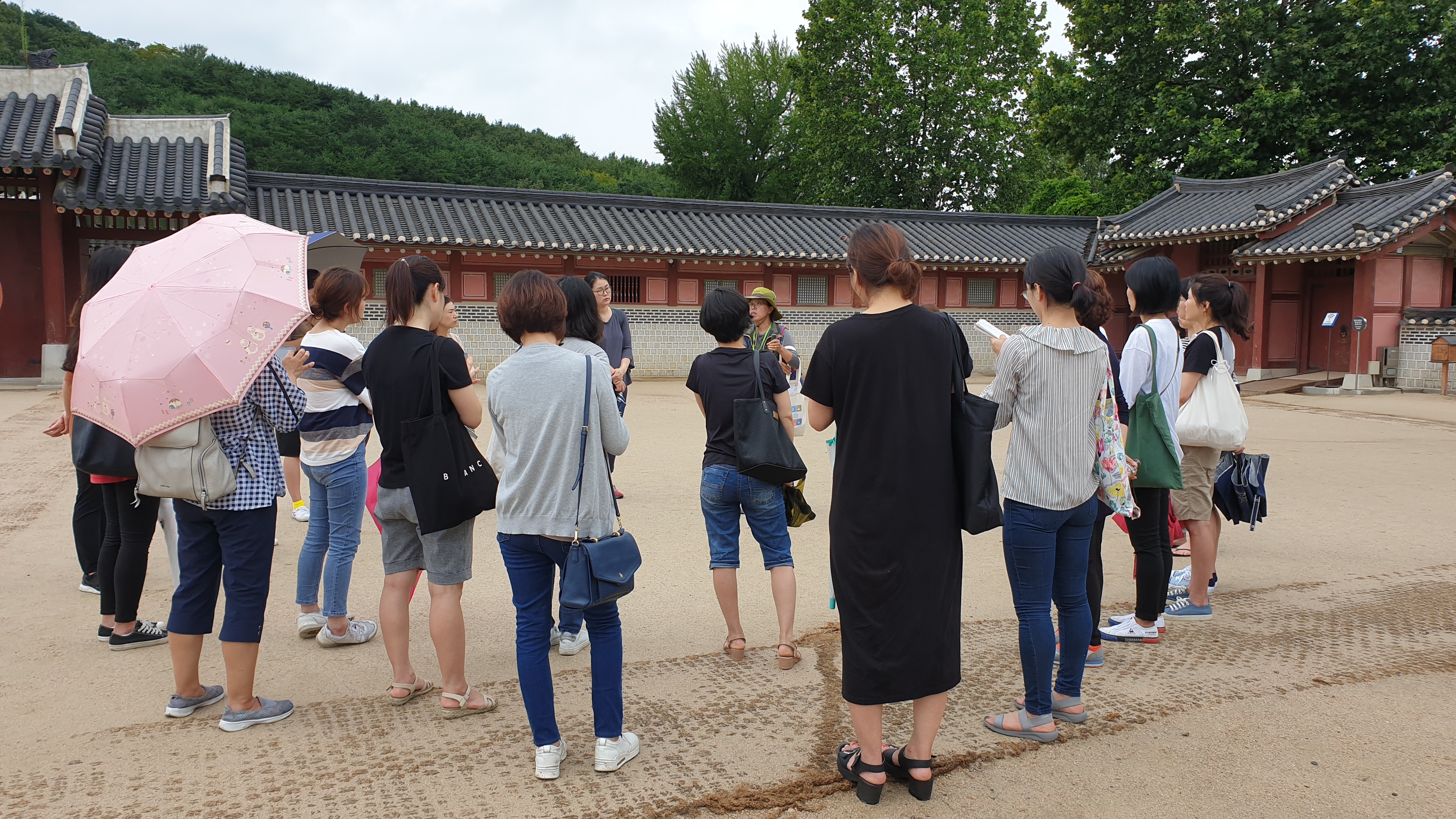 20190904_163113.jpg