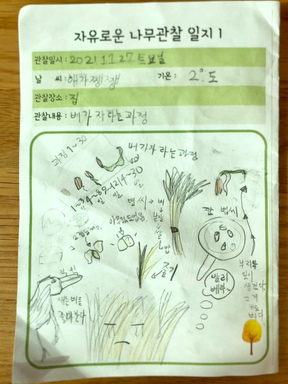 박한별11월 (3).jpg