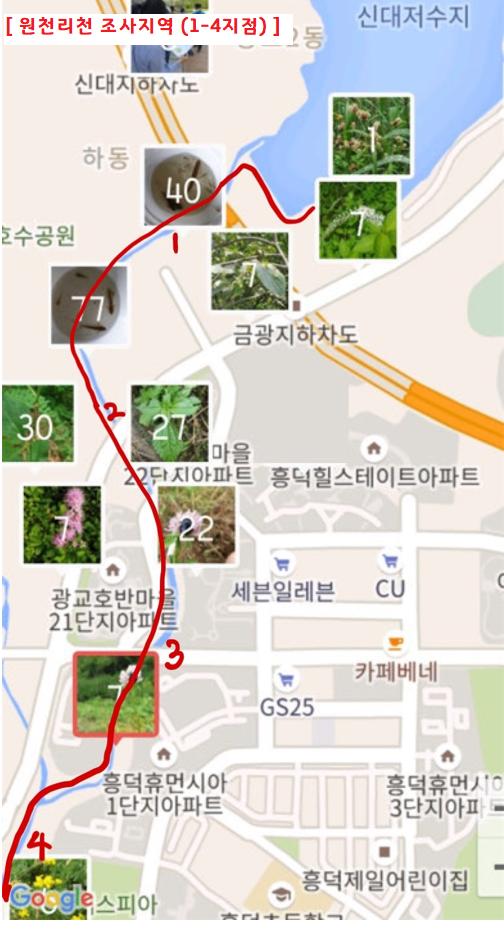 KakaoTalk_20210810_134341581_04.png