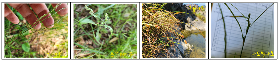 KakaoTalk_20230621_102759583.png