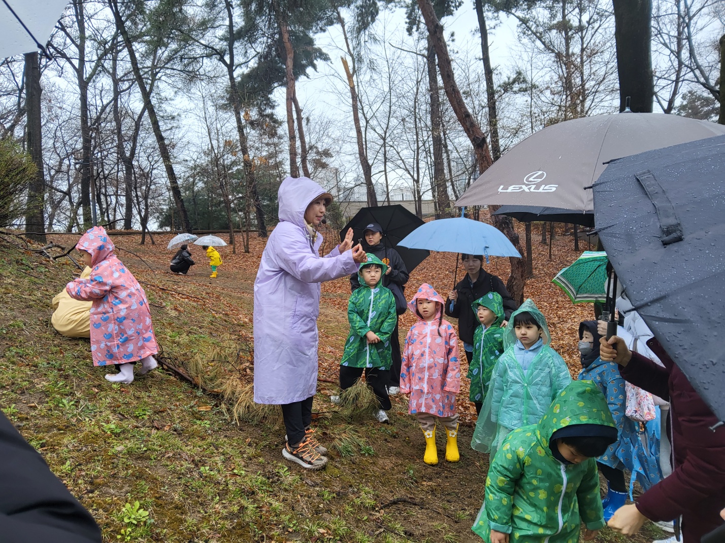 KakaoTalk_20250408_114515188_05.jpg