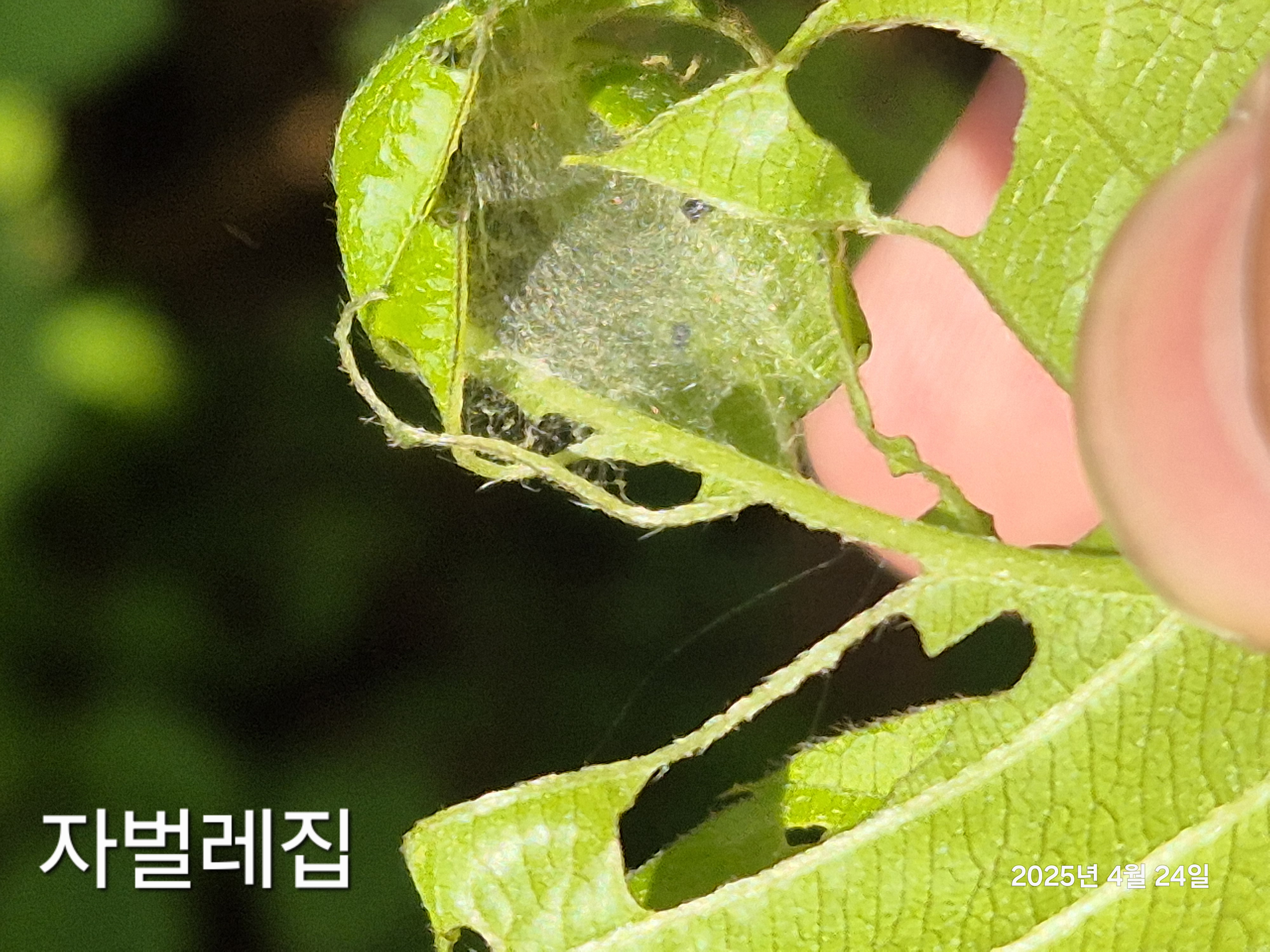KakaoTalk_20250429_161603209_07.jpg