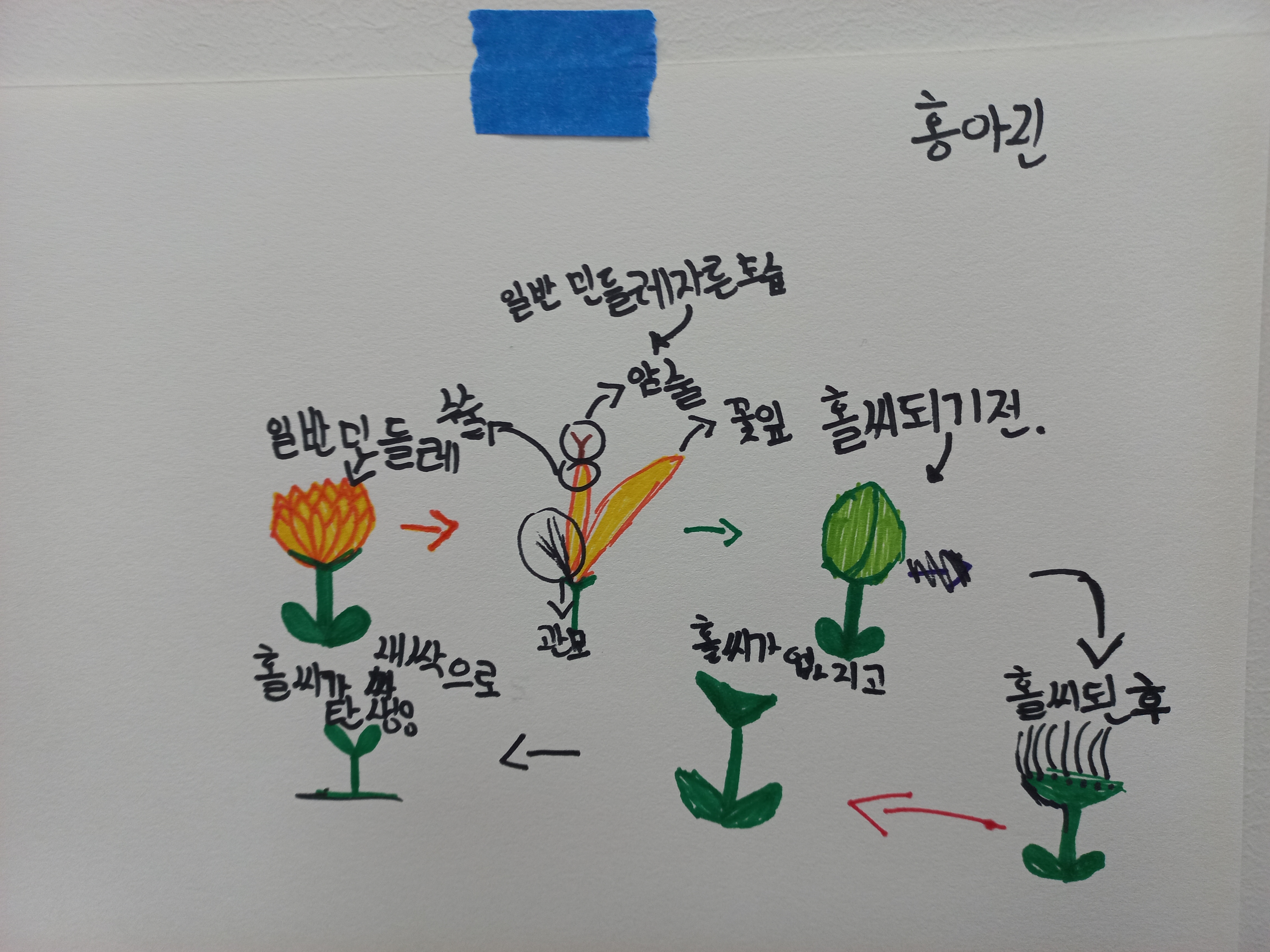 KakaoTalk_20250426_165302838_24.jpg