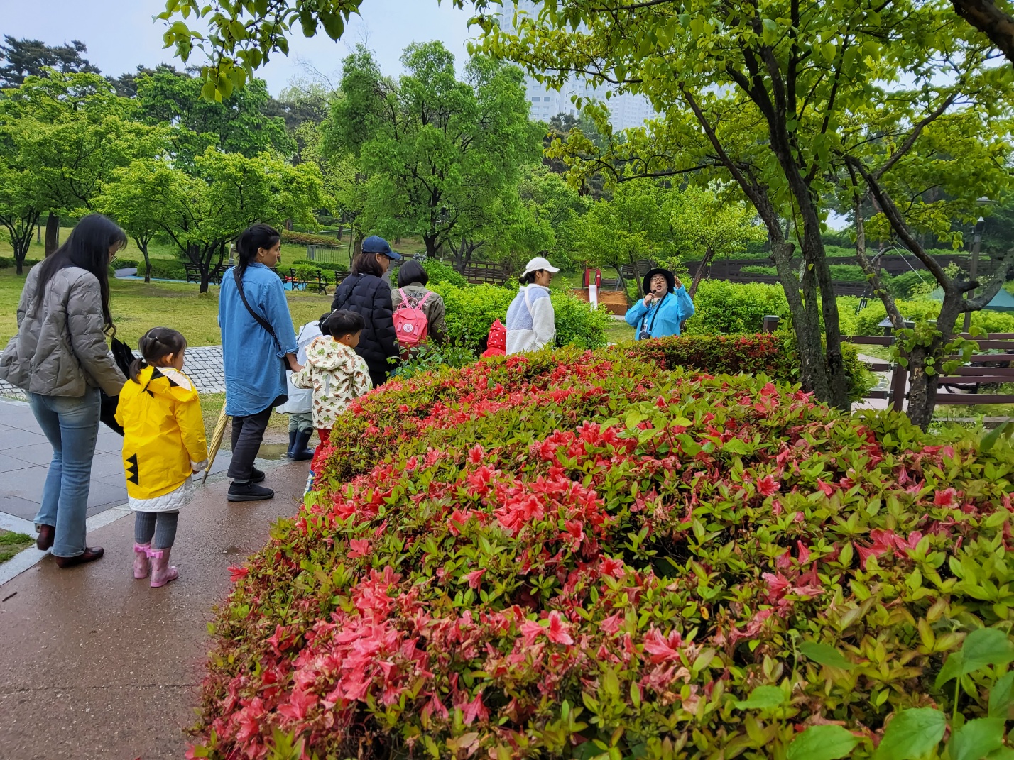 KakaoTalk_20250510_140856380_19.jpg