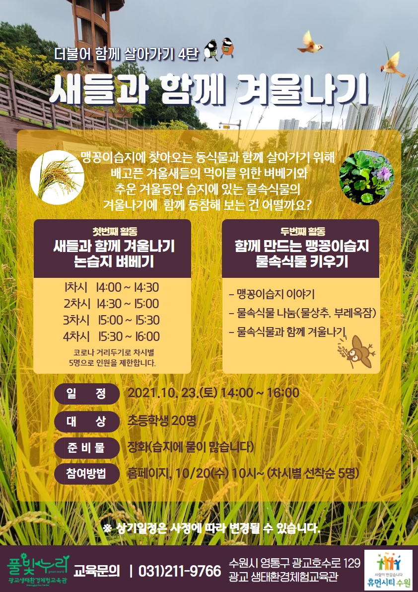 새들과 함께 겨울나기