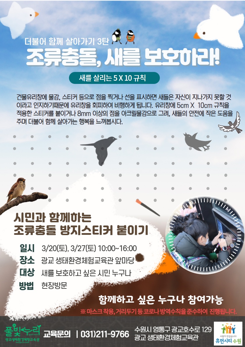 조류충돌, 새를 보호하라! 모집 안내