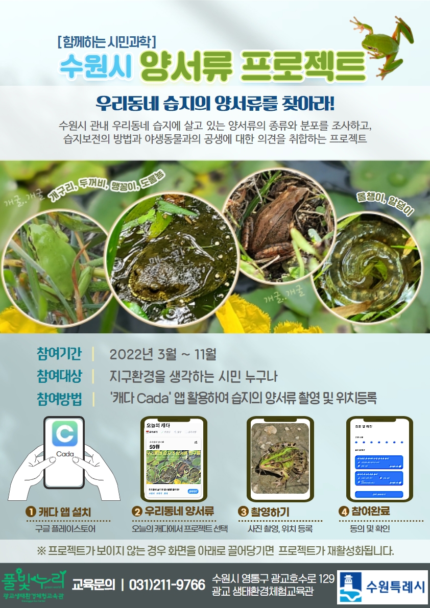 수원시 양서류 프로젝트