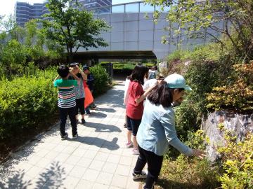 20190522_101239.jpg
