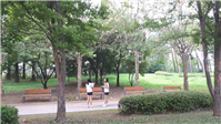 image08.png