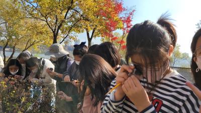 광교호수초_20211115 (21).jpg