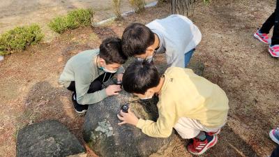 1019팔달초3-2최진이1.jpg
