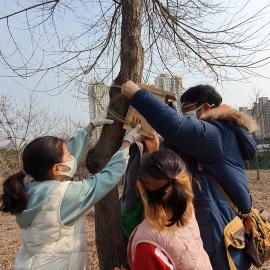 인공새집 만들기_0306 (45).jpg