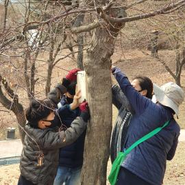 인공새집 만들기_0306 (53).jpg