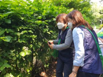 KakaoTalk_20210522_3.jpg