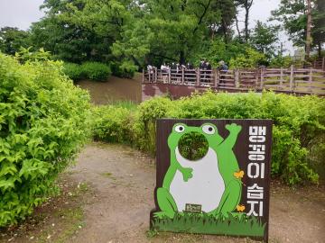 KakaoTalk_20210521_맹꽁이습지.jpg