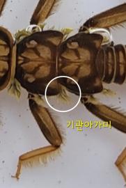 KakaoTalk_20230330_004754703_01.jpg