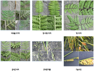KakaoTalk_20230619_223828872.png