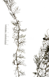 KakaoTalk_20230731_155710877.png