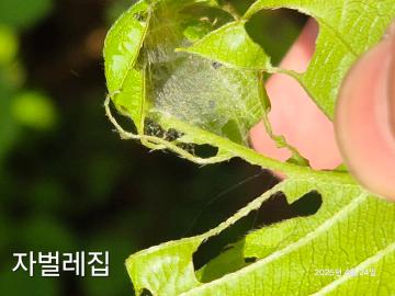 KakaoTalk_20250429_161603209_07.jpg